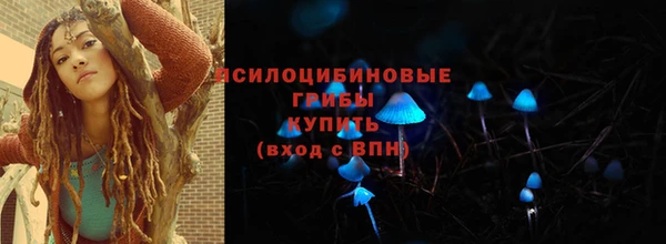 spice Лагань