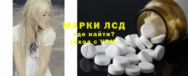 spice Лагань