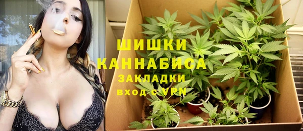 меф Ладушкин