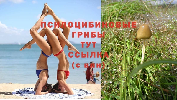 меф Ладушкин
