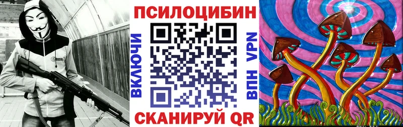 Псилоцибиновые грибы прущие грибы  Торопец 