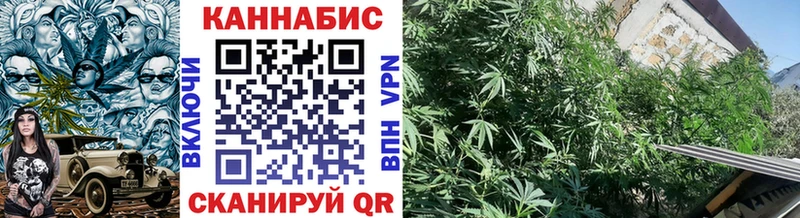 Канабис THC 21%  закладка  Торопец 